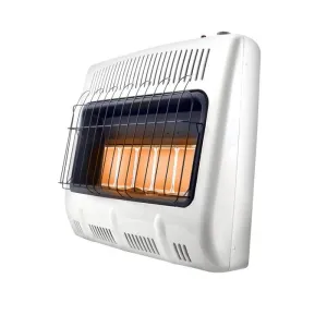 30K BTU DF WALL HEATER