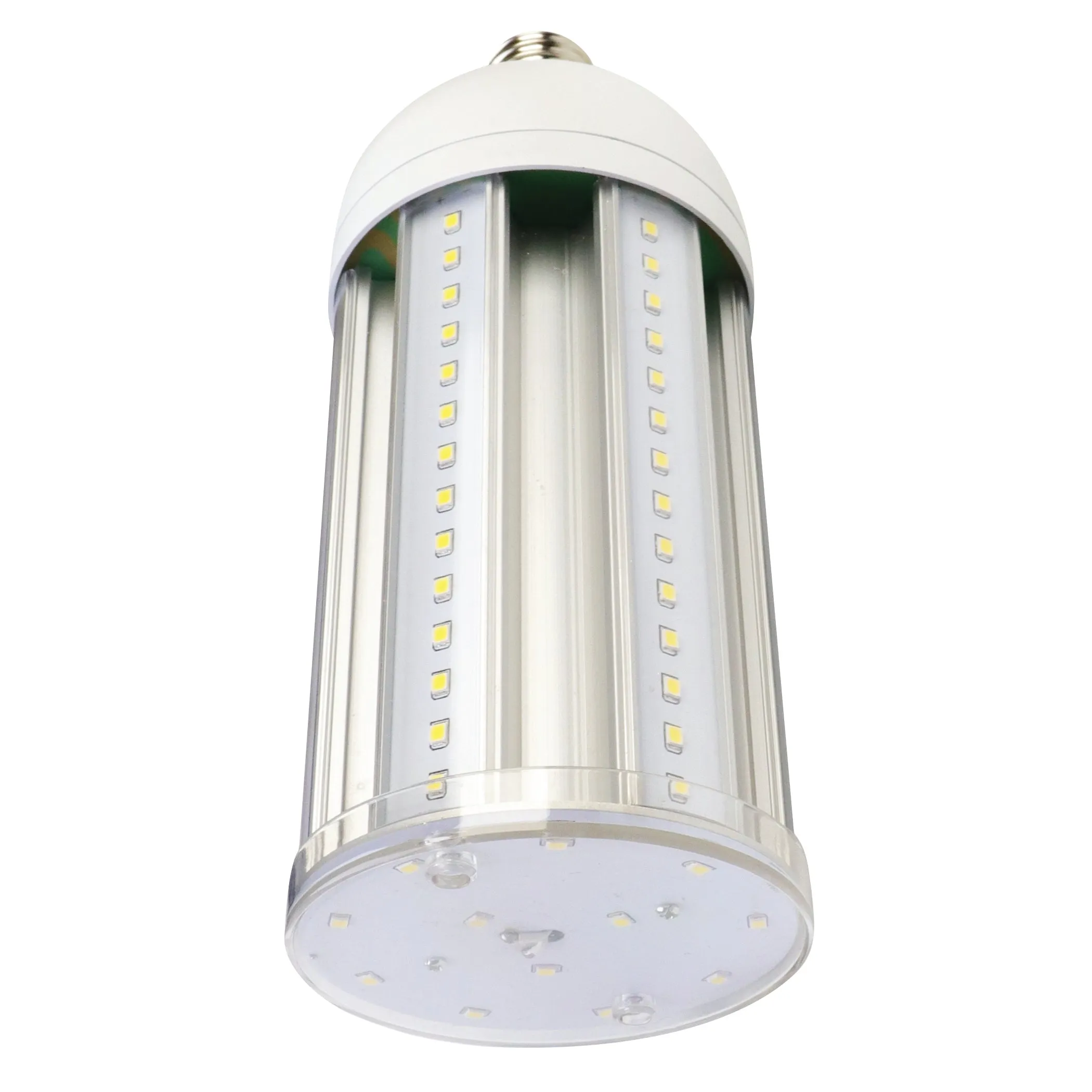 5000 Lumen COB LED Bulb