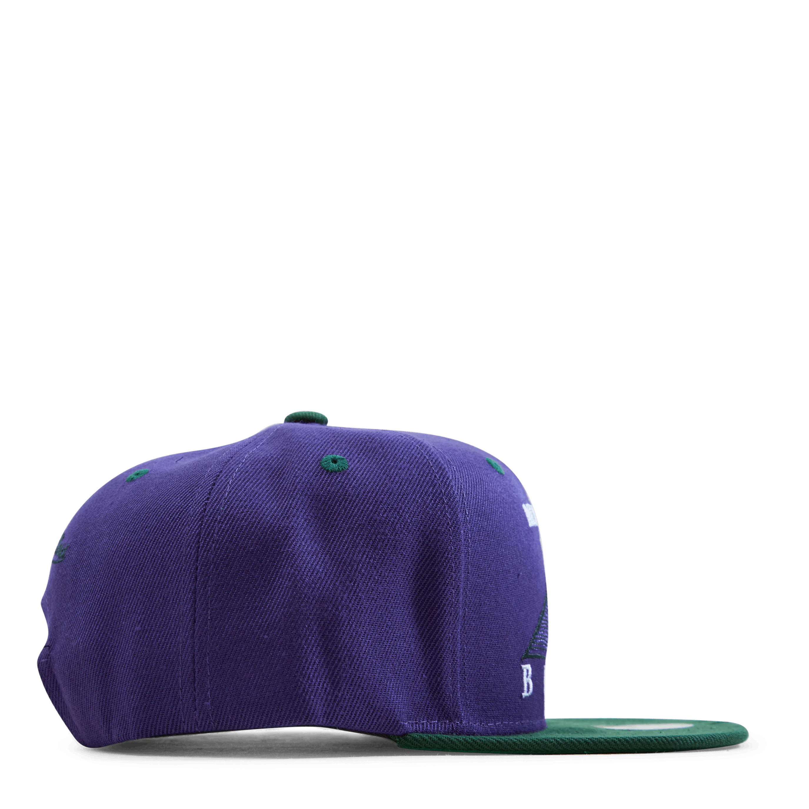 Bucks Monument Snapback HWC