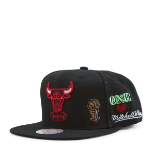 Bulls Hyperlocal Snapback