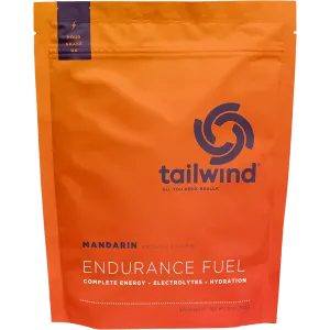 Endurance Fuel (30 Servings)